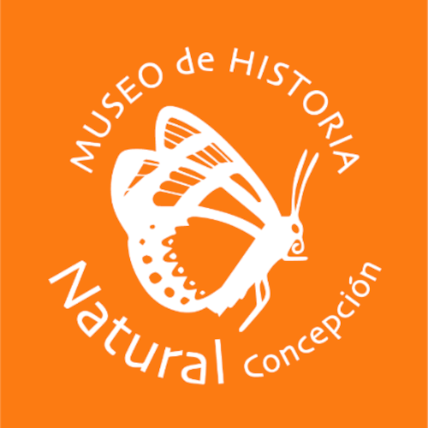 Te invitamos a recorrer y conocer el Museo de Historia Natural de Concepción
